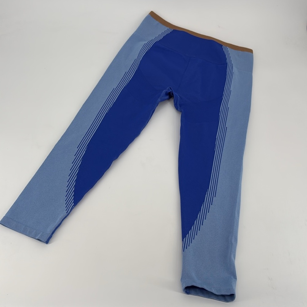 Fabletics Blue Set - Picture 10 of 11